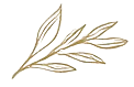decorative sandwich image
